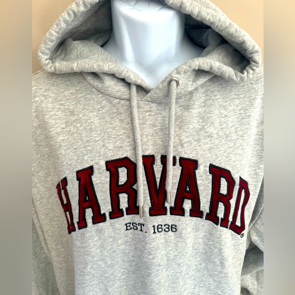 H&M Gray Harvard Hoodie